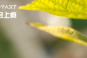 华体会app-唯一性胜利，楚阿梅尼爆破防线，芬兰补时绝杀拉齐奥