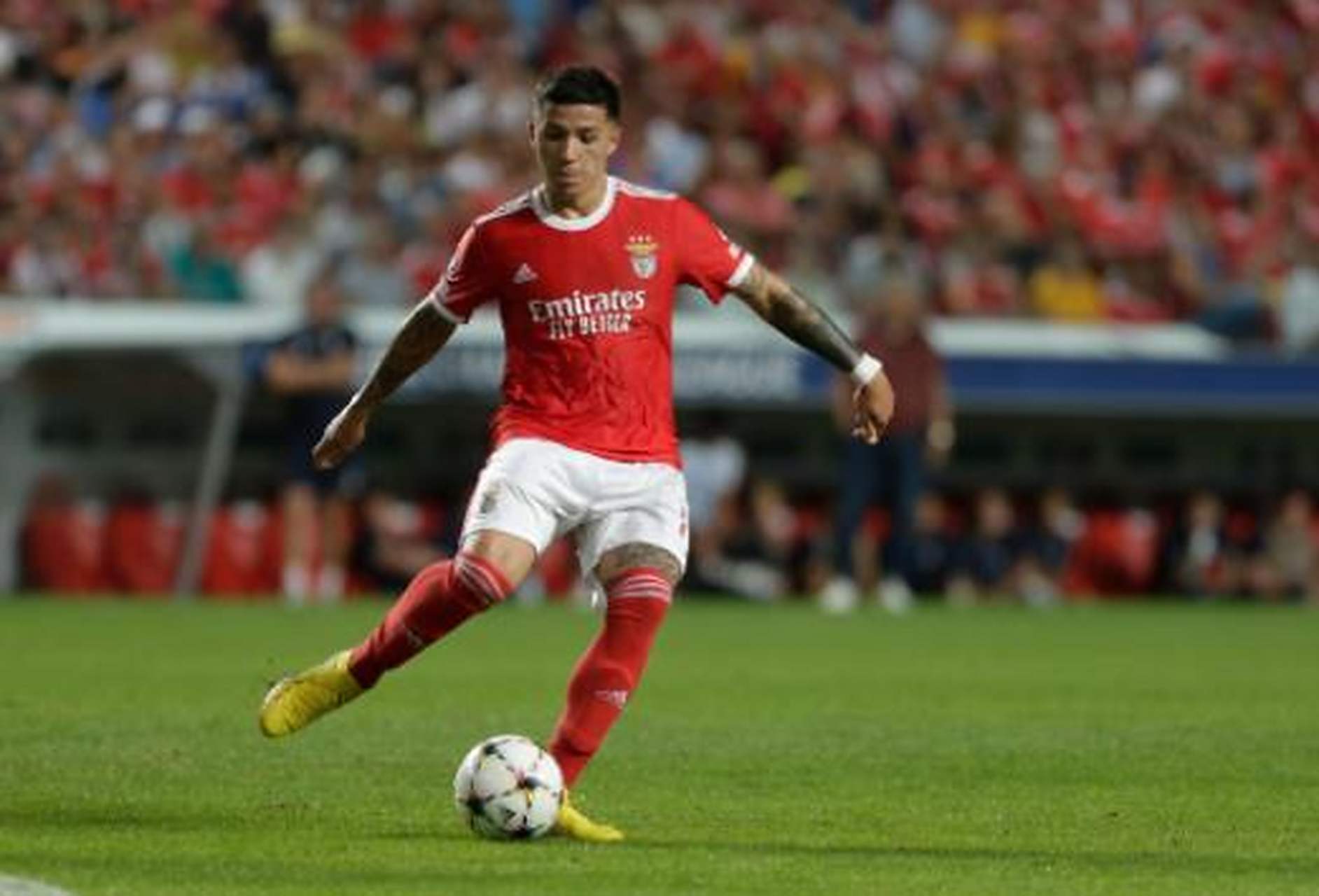 华体会官网-切尔西轻取本菲卡，贝尔补时绝平德甲  第1张